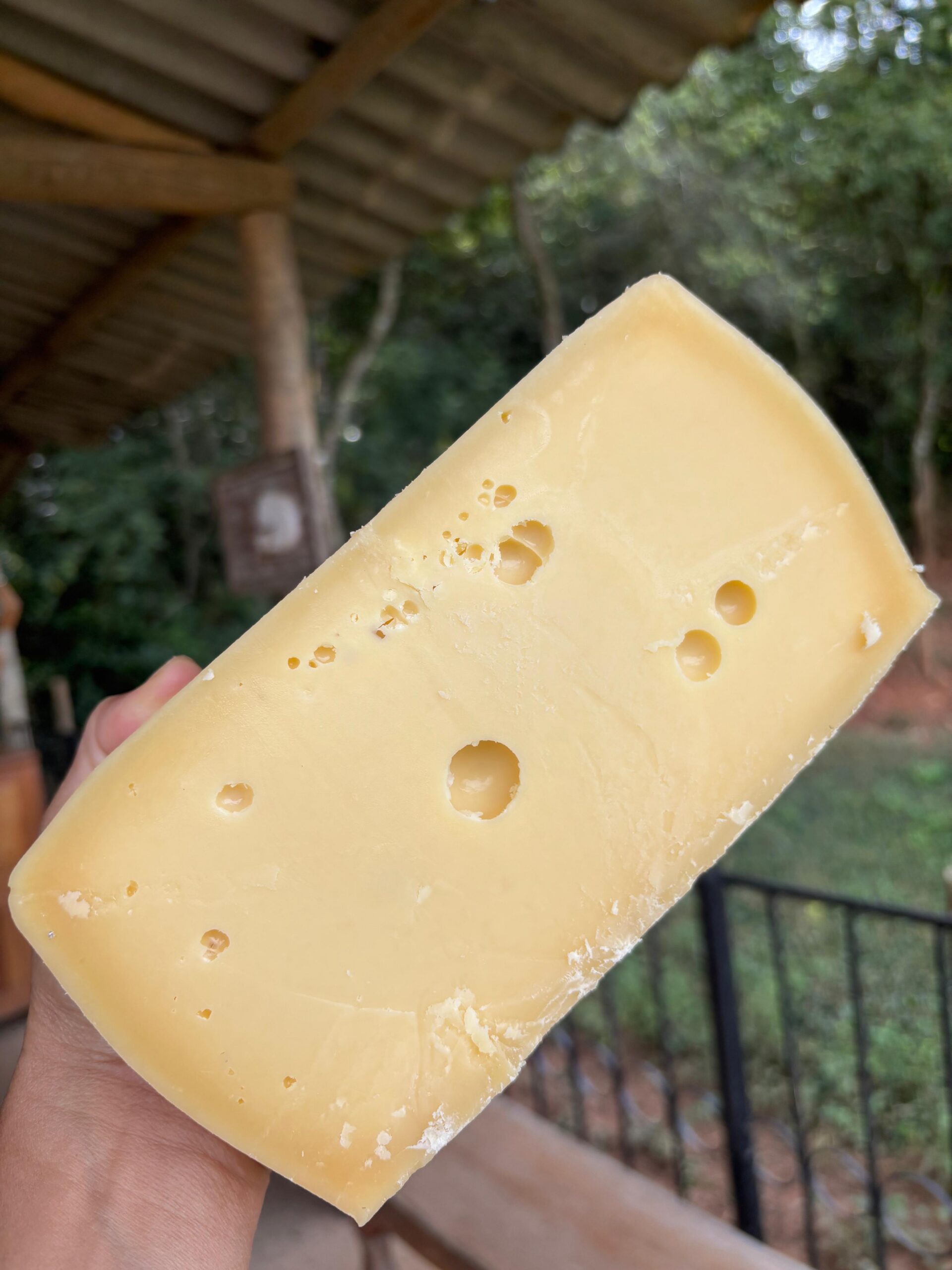 Queijo Montanhês - Imagem 4