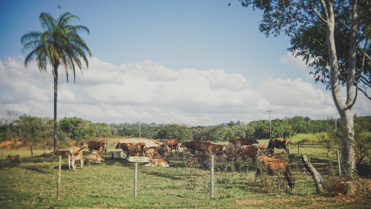 Nossa fazenda